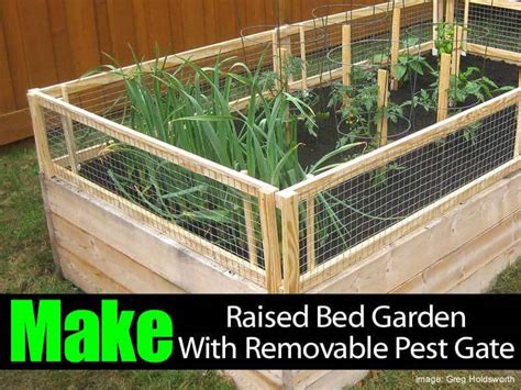 How To Make A Raised Bed Garden With Removable Pest Gate