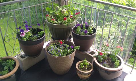 If you love planting container gardens but don't know where to start, check out our slide show of 36 recipes you can follow for success. Ideas for Container Gardening & Drip Irrigation for Pots ...