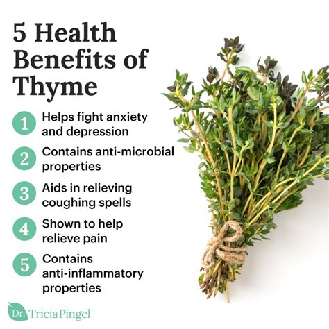 5 Thyme Health Benefits Dr Pingel