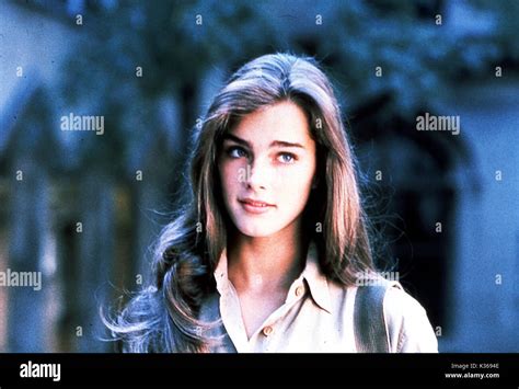 Endlose Liebe Brooke Shields Datum 1981 Stockfotografie Alamy