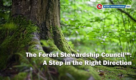The Forest Stewardship Council A Step In The Right Direction