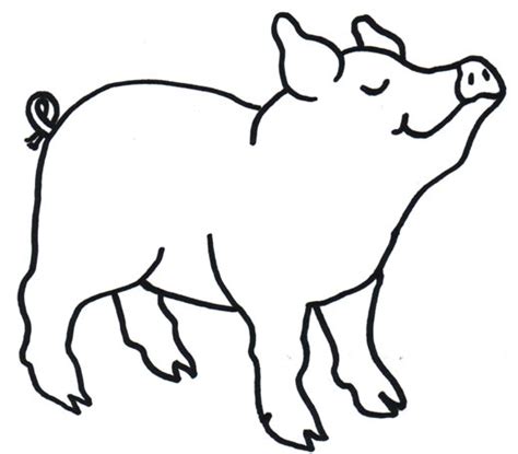 Pig Outline Clipart Best