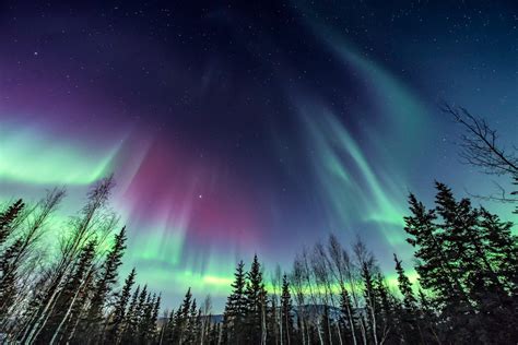 Alaska Airlines Flight Sale To See The Northern Lights In Alaska