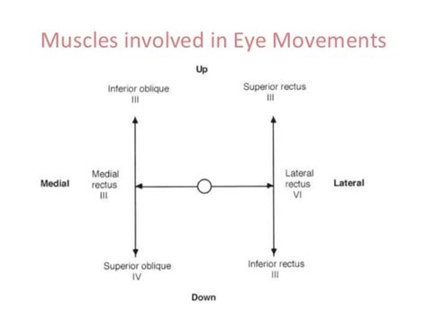 Eye Movements Examination