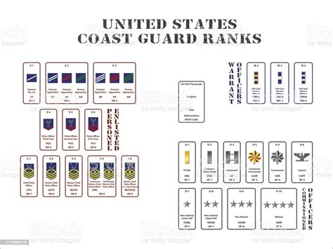 United States Coast Guard Ranks Stock Illustration Download Image Now