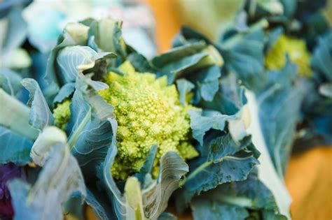 Frisches Organisches Kohl Romanesco Gemüse Für Verkauf Am Markt