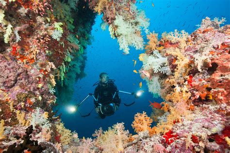 The Most Beautiful Coral Reefs In The World