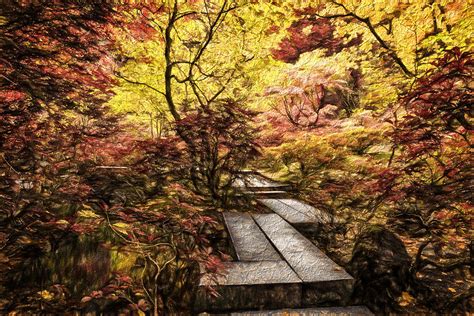 Fall Walkway Photograph By Wes And Dotty Weber Fine Art America