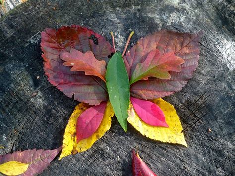 The Enchanted Tree Autumn Leaf Art