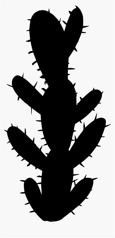 Transparent Cactus Silhouette Vector Hd Png Download Kindpng