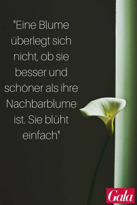 Lustige sprüche 204 zum totlachen abfeiern ohne lange suche wir wünschen glück und alles gute dir komm mal vorbei wenn du kannst a. Pinterest Zitate: Kleine Lebensweisheiten und Sprüche ...