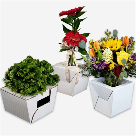 Jetwrap Floral Delivery Boxes Flopak