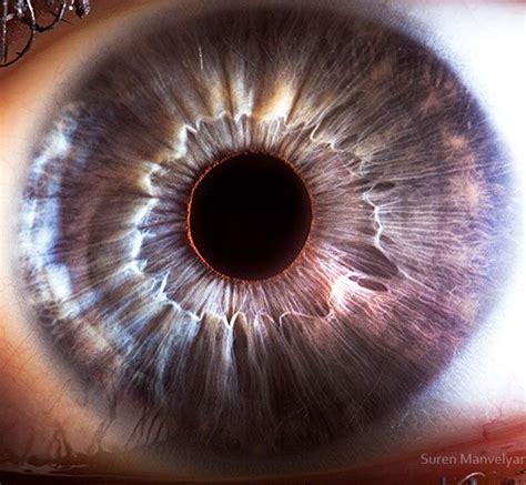 21 Extreme Close Ups Of Eyes Show Just How Eerily Beautiful And Complex