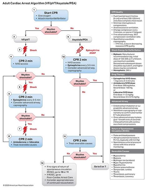 Algorithms American Heart Association Cpr And First Aid