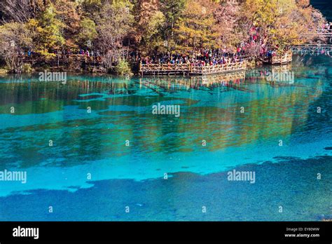 Jiuzhaigou National Park Five Flower Lake Is Lake In Sichuan China