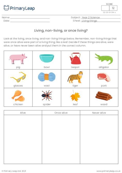 Living And Non Living Things Worksheets 99worksheets