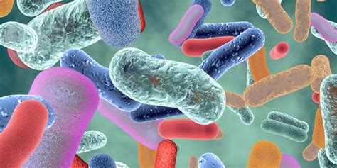Engineered Bacteria Make Living Materials