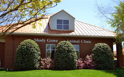 Shady Grove Animal Hospital Animalsd