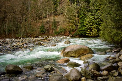 Rushing Stream Nature landscape image - Free stock photo - Public ...