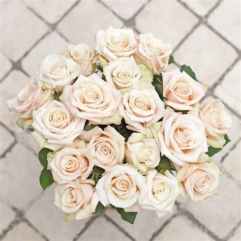 Sahara Rose In 2020 Sahara Rose White Wedding Decorations Cream Roses
