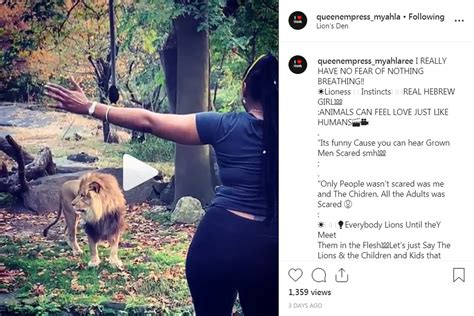 Bronx Zoo Lion Woman Jumps Enclosure Fence On Video As Police