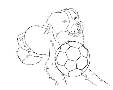 A dog lover's colouring book coloring book canidae computer icons border collie child cc0 Collie Coloring Pages at GetColorings.com | Free printable ...