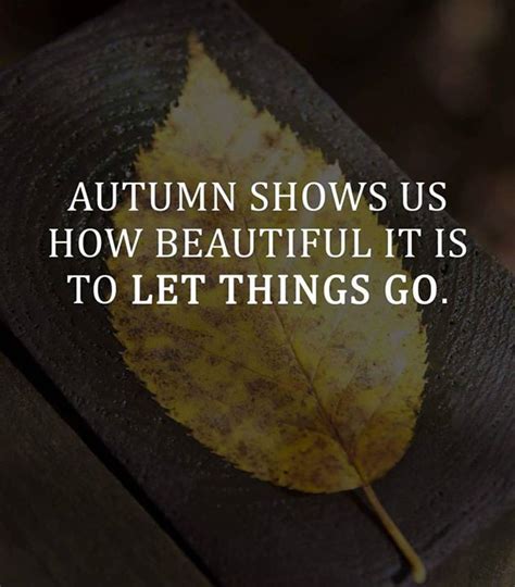 Autumn Shows Us How Beautiful It Is To Let Things Go Motivational