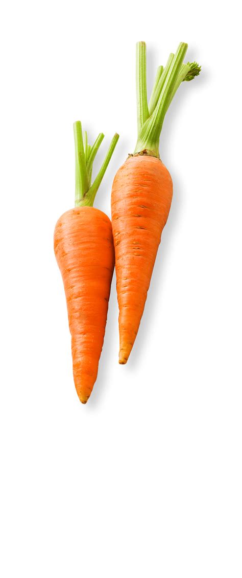 Baby carrot Vegetable Food Carrot cake - carrot png download - 2400 ...