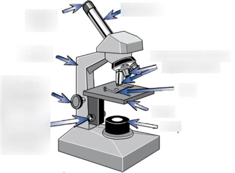 A Labeled Microscope Diagram Micropedia Images And Ph