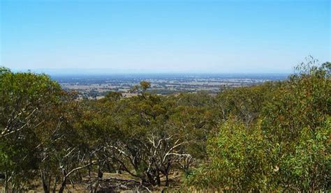 Warby Ovens National Park Wangaratta 2021 All You Need To Know