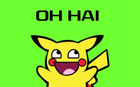 Pokemon Pikachu Lolcat Awesome Face High Quality