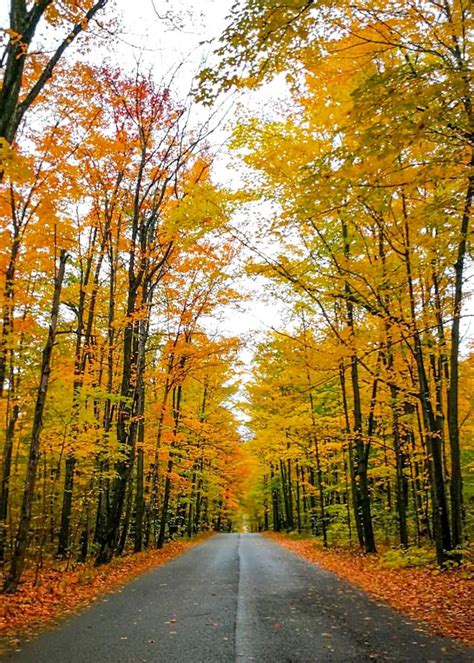 🇨🇦 Country Road In Autumn Haliburton Ontario By Brendan Farrell