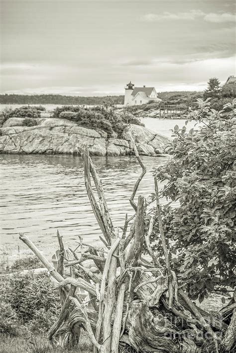 Coastal View Maine Photograph By Alana Ranney Fine Art America