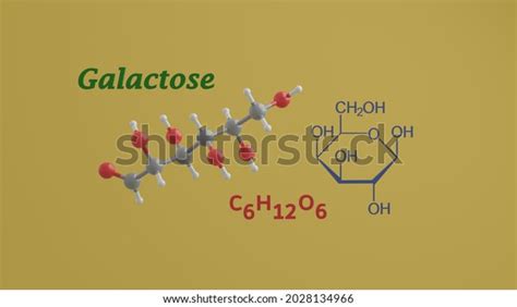 Galactose Reducing Sugar Monosaccharide Science Chemical Stock