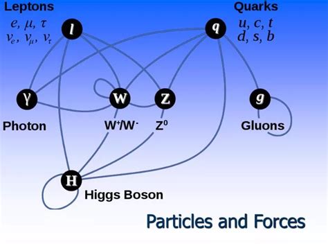 Ppt Particles And Forces Powerpoint Presentation Free Download Id