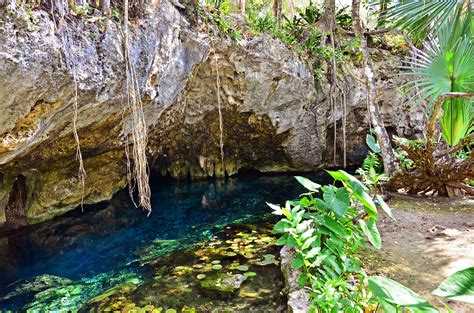 7 Of Riviera Mayas Best Cenotes