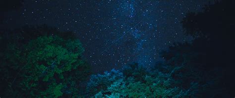 Download Wallpaper 2560x1080 Starry Sky Stars Night Trees Dual Wide