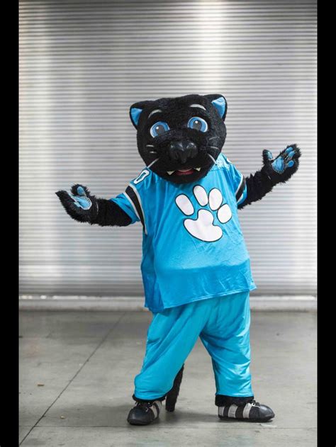 Carolina Panthers Carolina Panthers Panthers Mascot