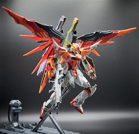Dm Destiny Gundam Heine Custom Mg Rgunpla