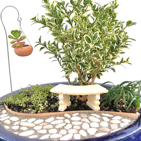 Keep Gardening This Winter With Indoor Miniature Gardens