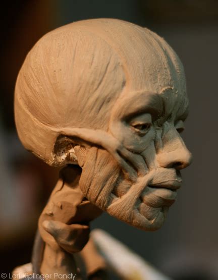 Check spelling or type a new query. Lori Kiplinger Pandy Sculpture: Ecorche' - Sculpting the ...