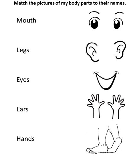 environmental science preschool topic body parts