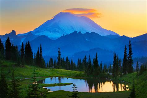 Blue Mount Rainier From Tipsoo Lake After Sunset Washington Usa Zwz