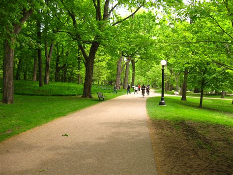 Free Images Tree Nature Forest Pathway Grass Lawn