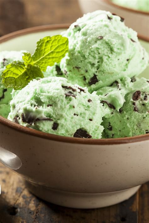Easy Mint Chocolate Chip Ice Cream Recipe — Dishmaps