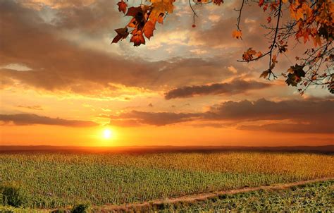 Wallpaper Field Autumn The Sky Leaves The Sun Clouds Sunset