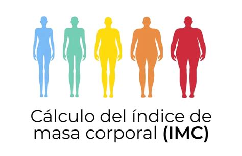 Cómo medir el índice de masa corporal IMC iNuba