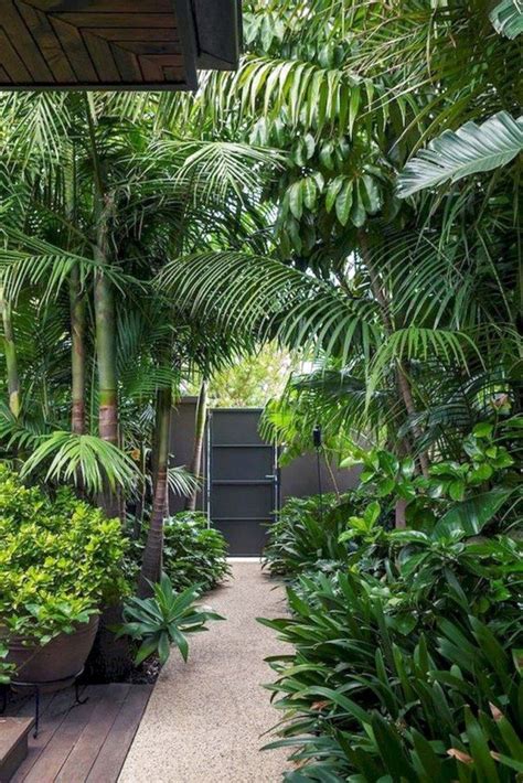 39 Best Tropical Garden Ideas The Expert Beautiful Ideas Tropical