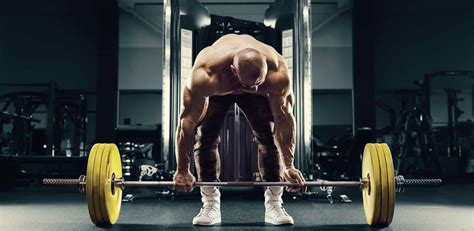 Deadlift Bar Vs Stiff Bar What You Need To Know Humane Muscle
