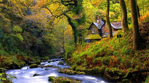 House On Forest River Hd Wallpaper Background Image 1920x1080 Id